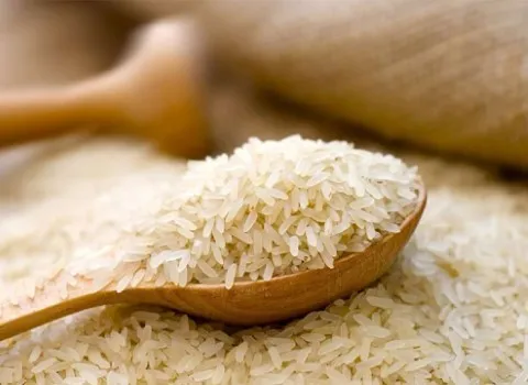 خرید برنج عطری گیلان + قیمت فروش استثنایی